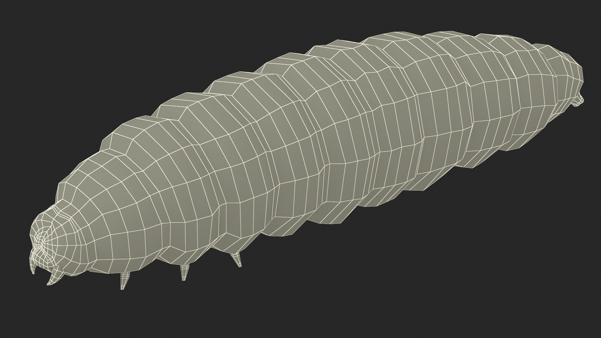 3D model Maggot Fly