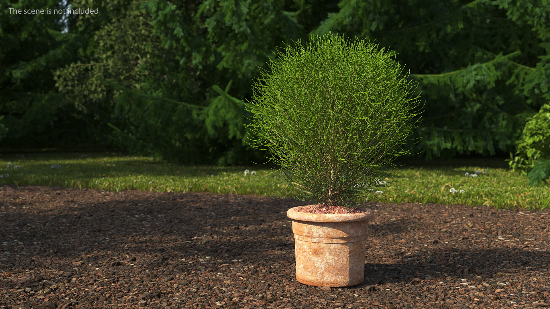 3D Green Spherical Shrub Pot Plant