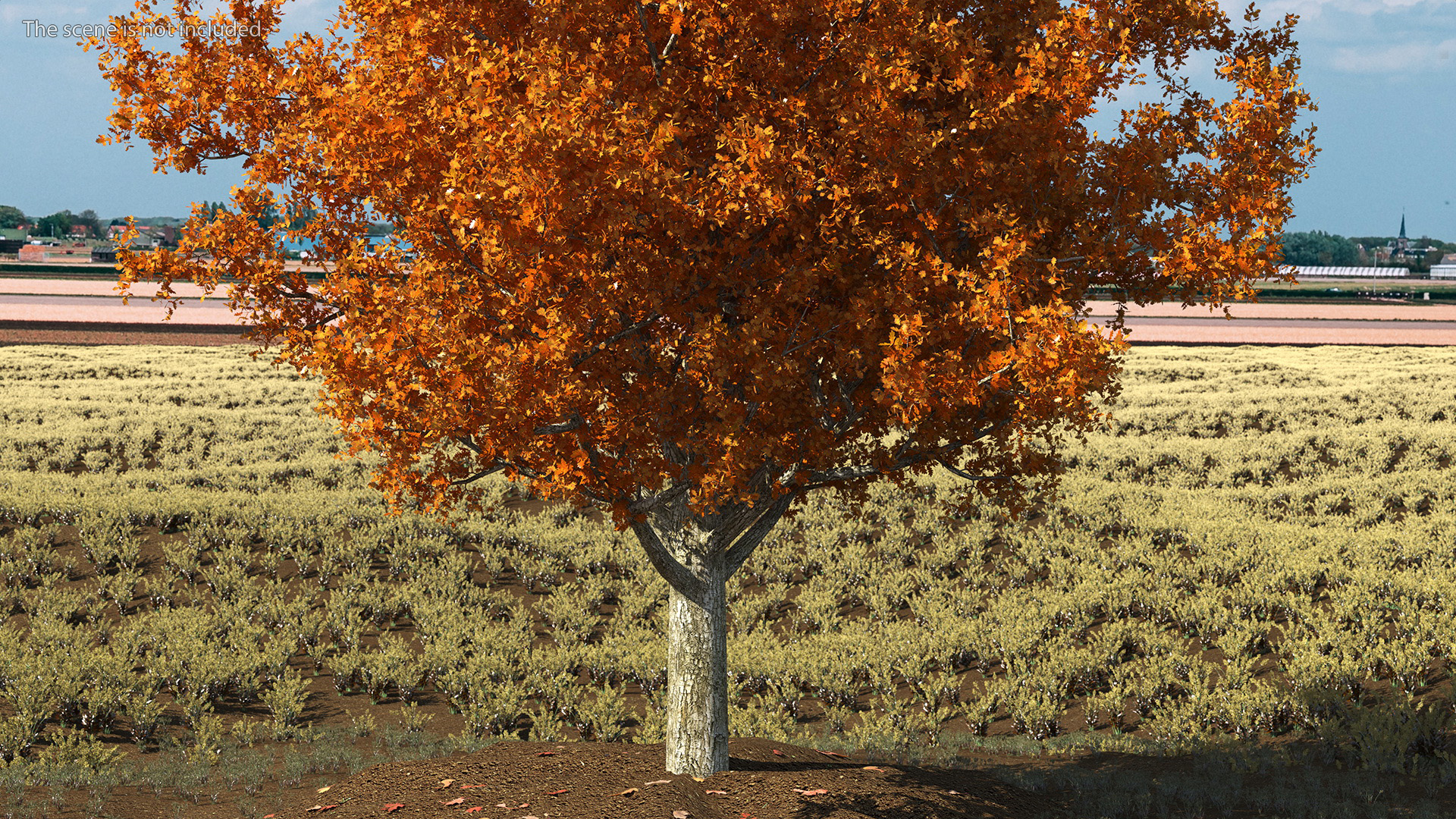 3D model Autumn Oak Tree