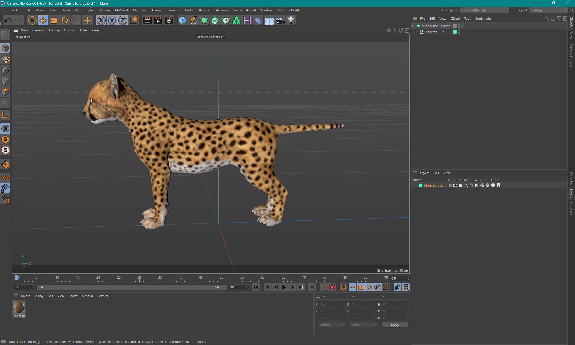 3D Cheetah Cub