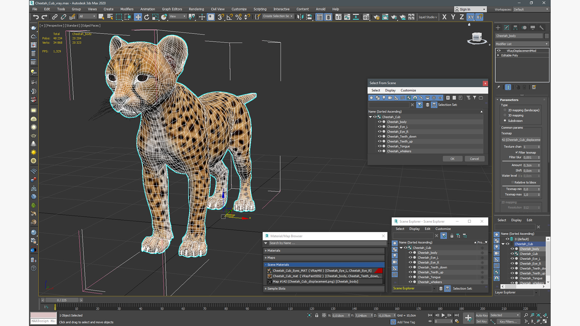 3D Cheetah Cub