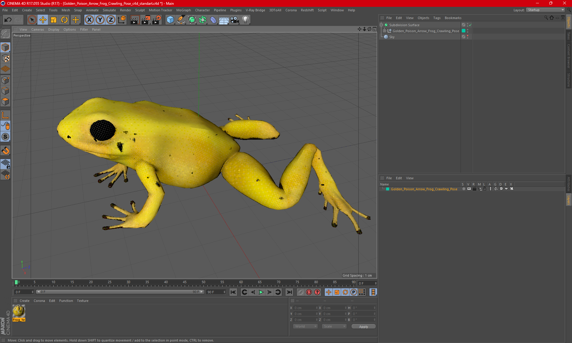 3D Golden Poison Arrow Frog Crawling Pose model