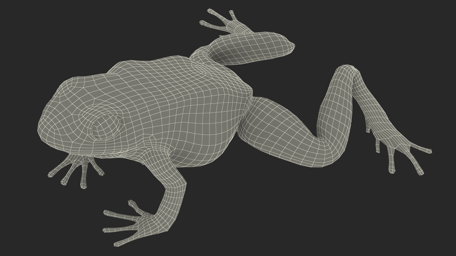 3D Golden Poison Arrow Frog Crawling Pose model