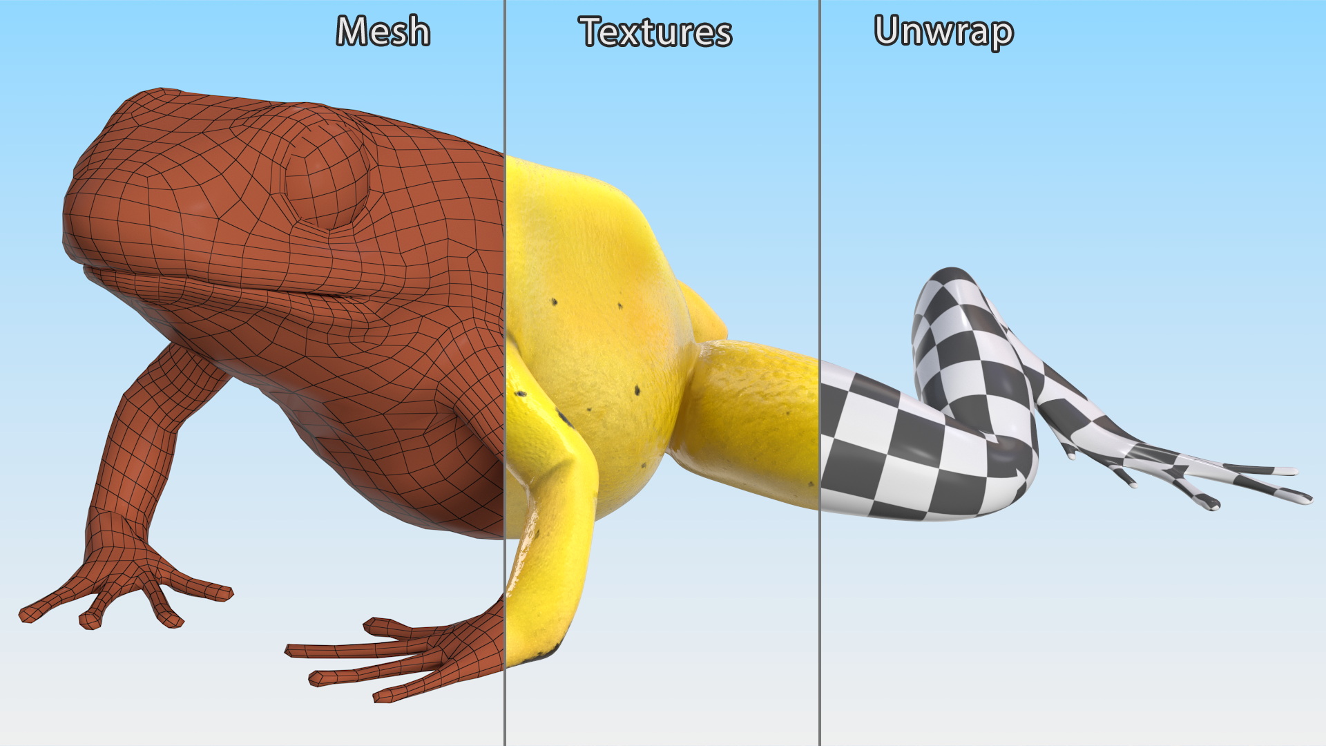 3D Golden Poison Arrow Frog Crawling Pose model