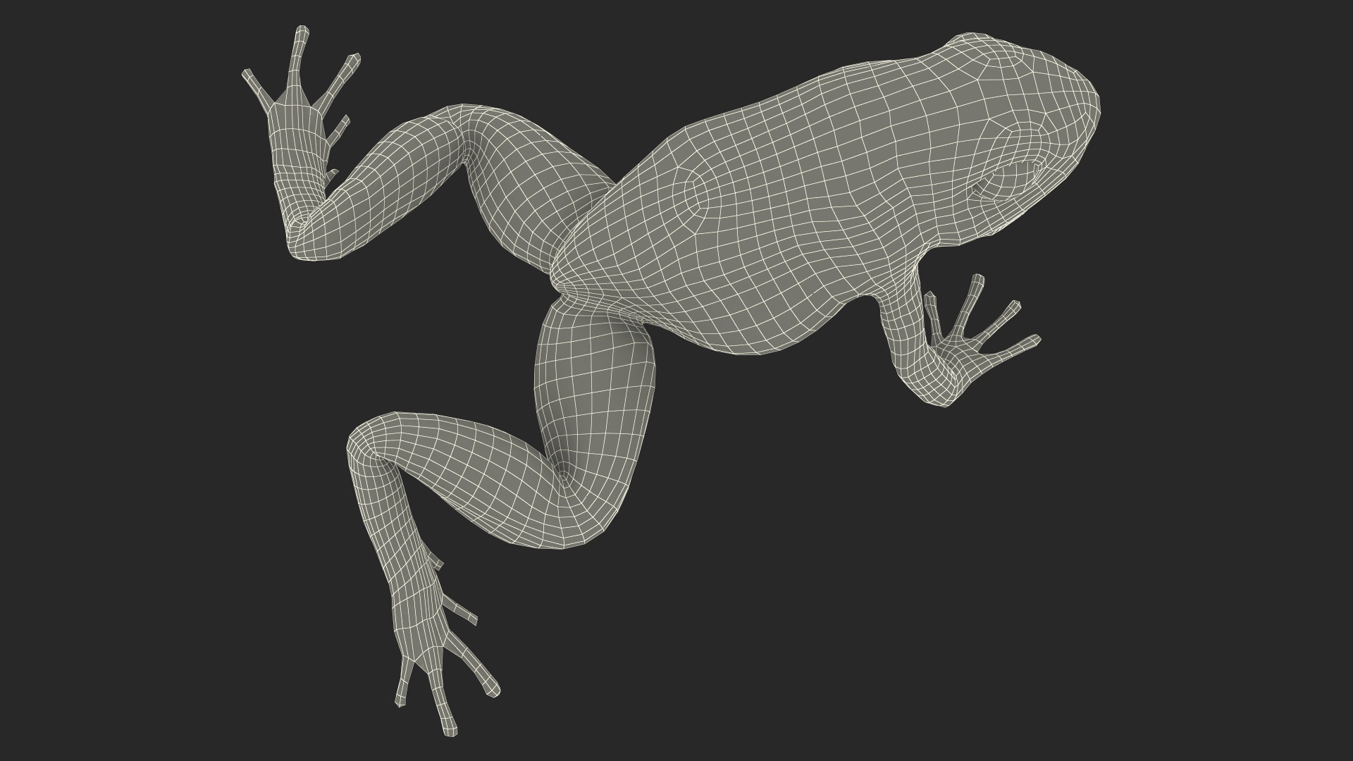 3D Golden Poison Arrow Frog Crawling Pose model