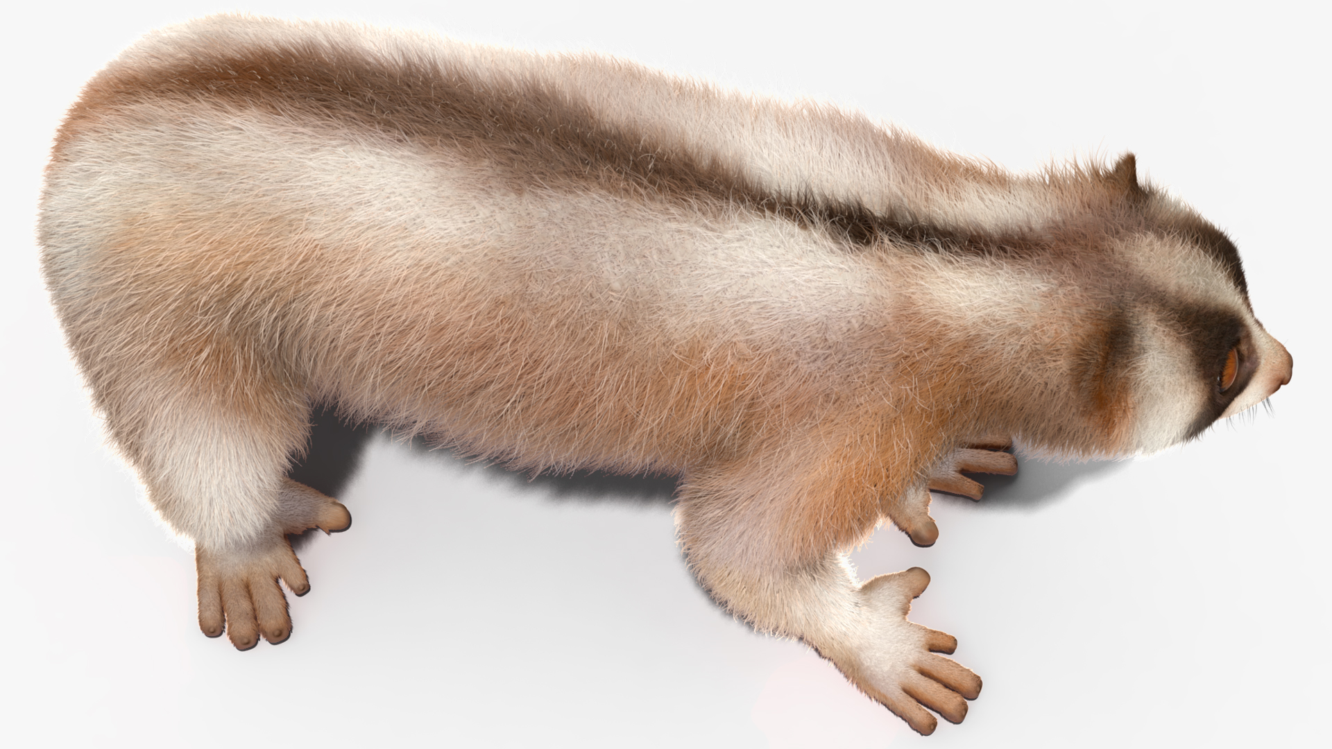 Lemur Bengal Slow Loris Fur 3D