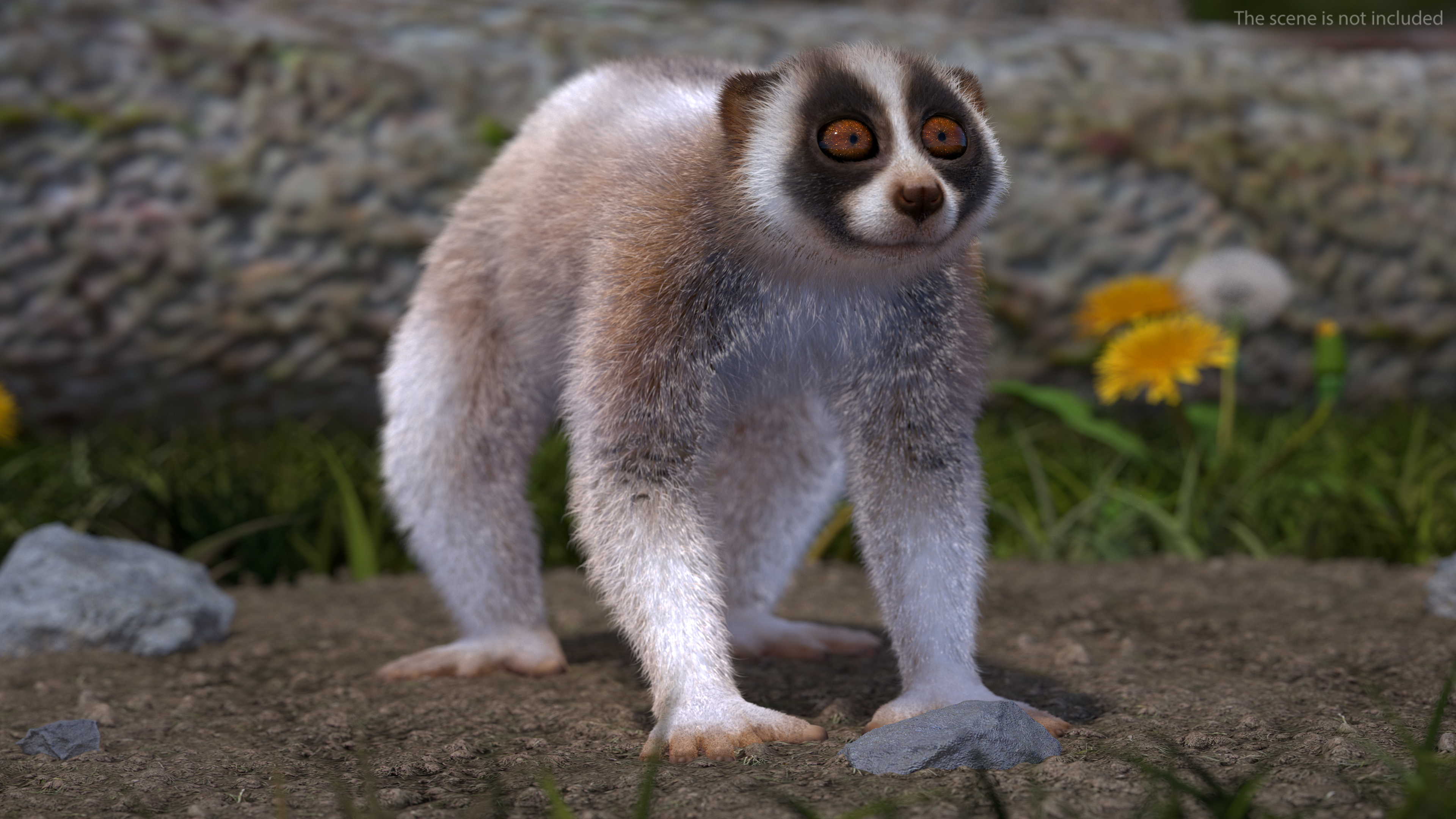 Lemur Bengal Slow Loris Fur 3D