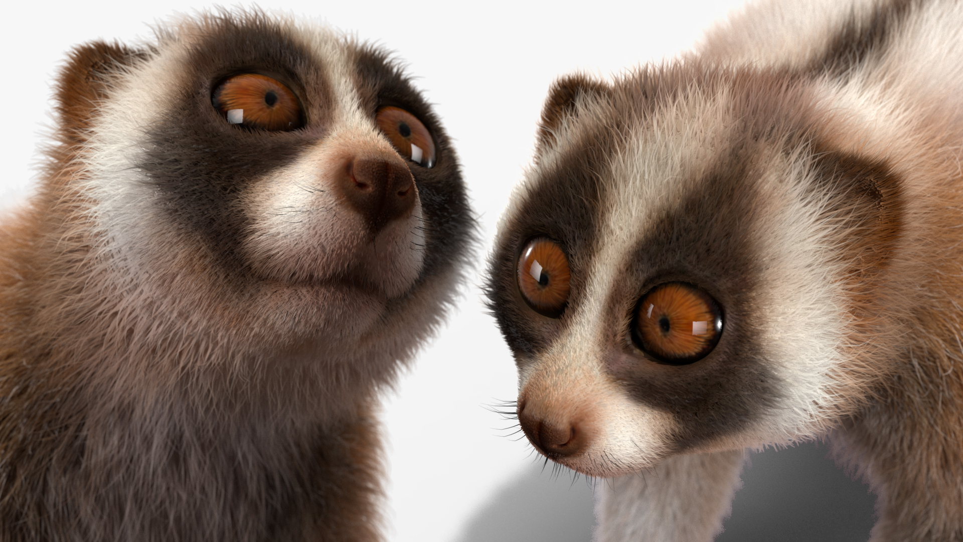 Lemur Bengal Slow Loris Fur 3D