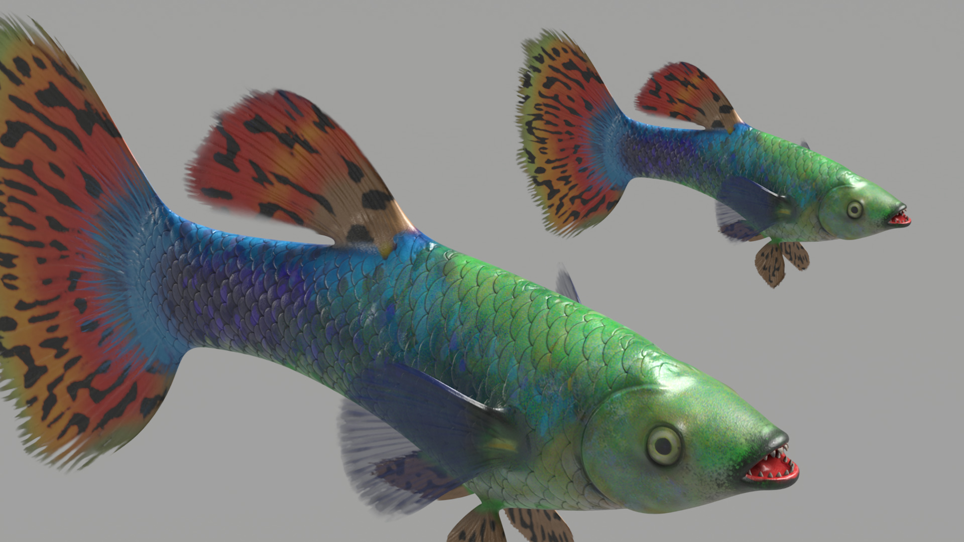 Guppy Fish Red Dragon Rigged for Maya 3D