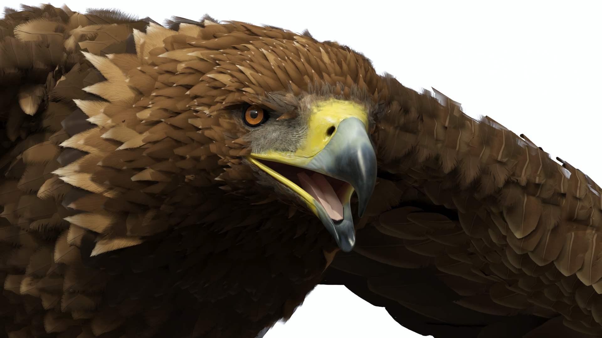 Golden Eagle Flying 3D model