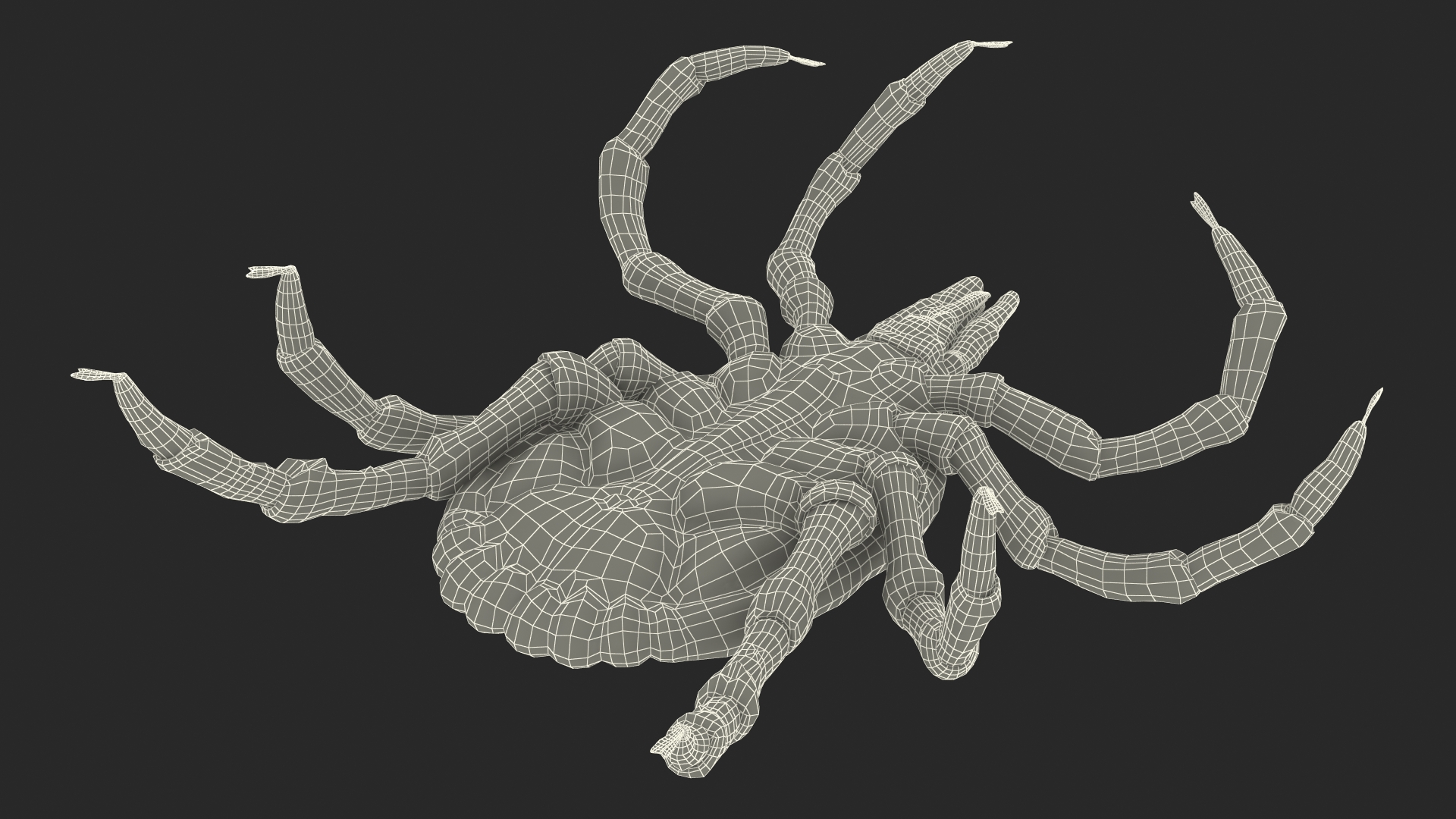 Tick Crawling Pose Fur 3D