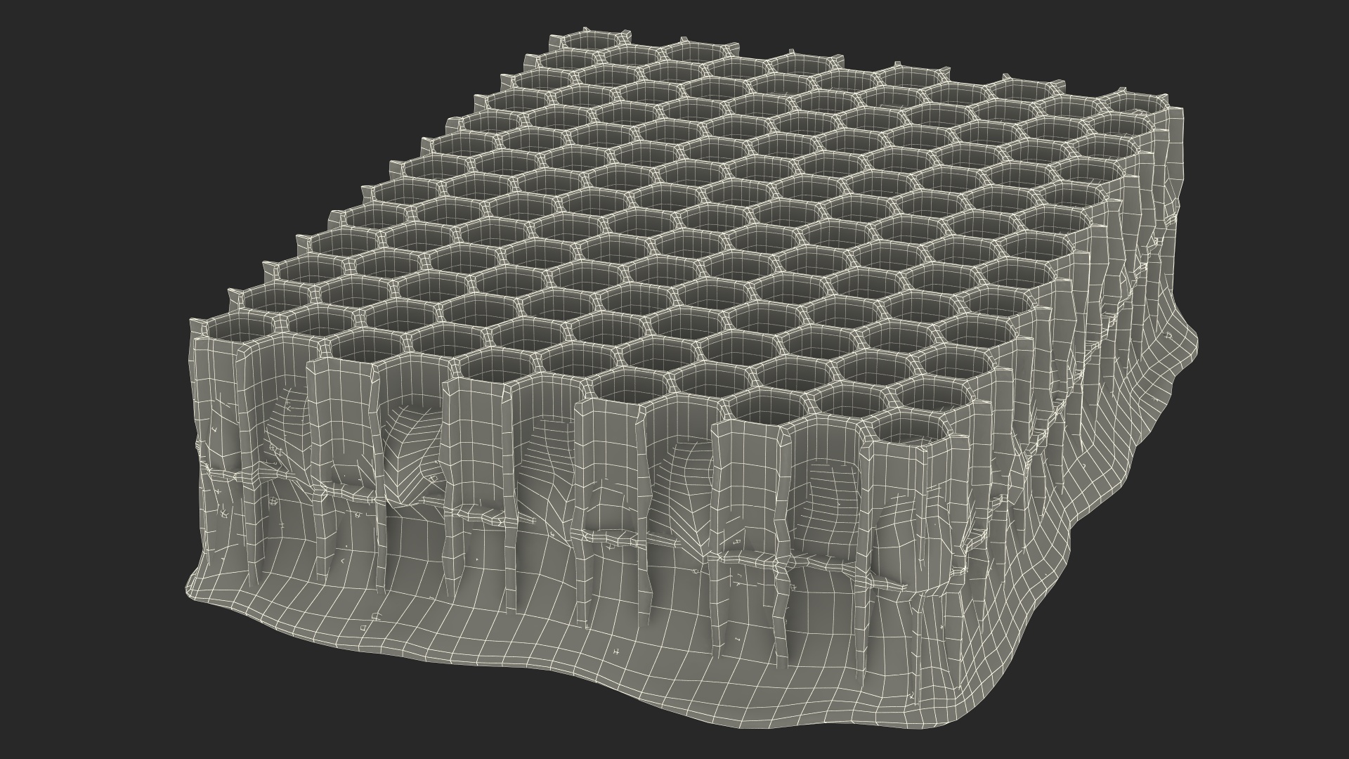 3D Raw Honeycomb model