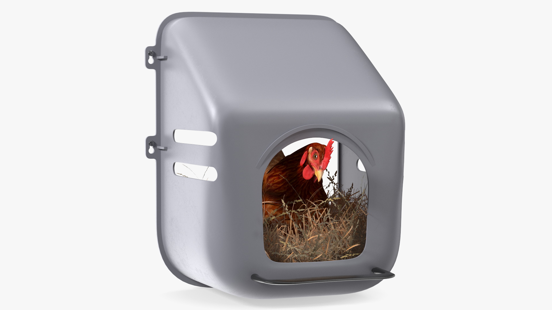 3D Chicken in Wall Mount Nesting Nest Box model