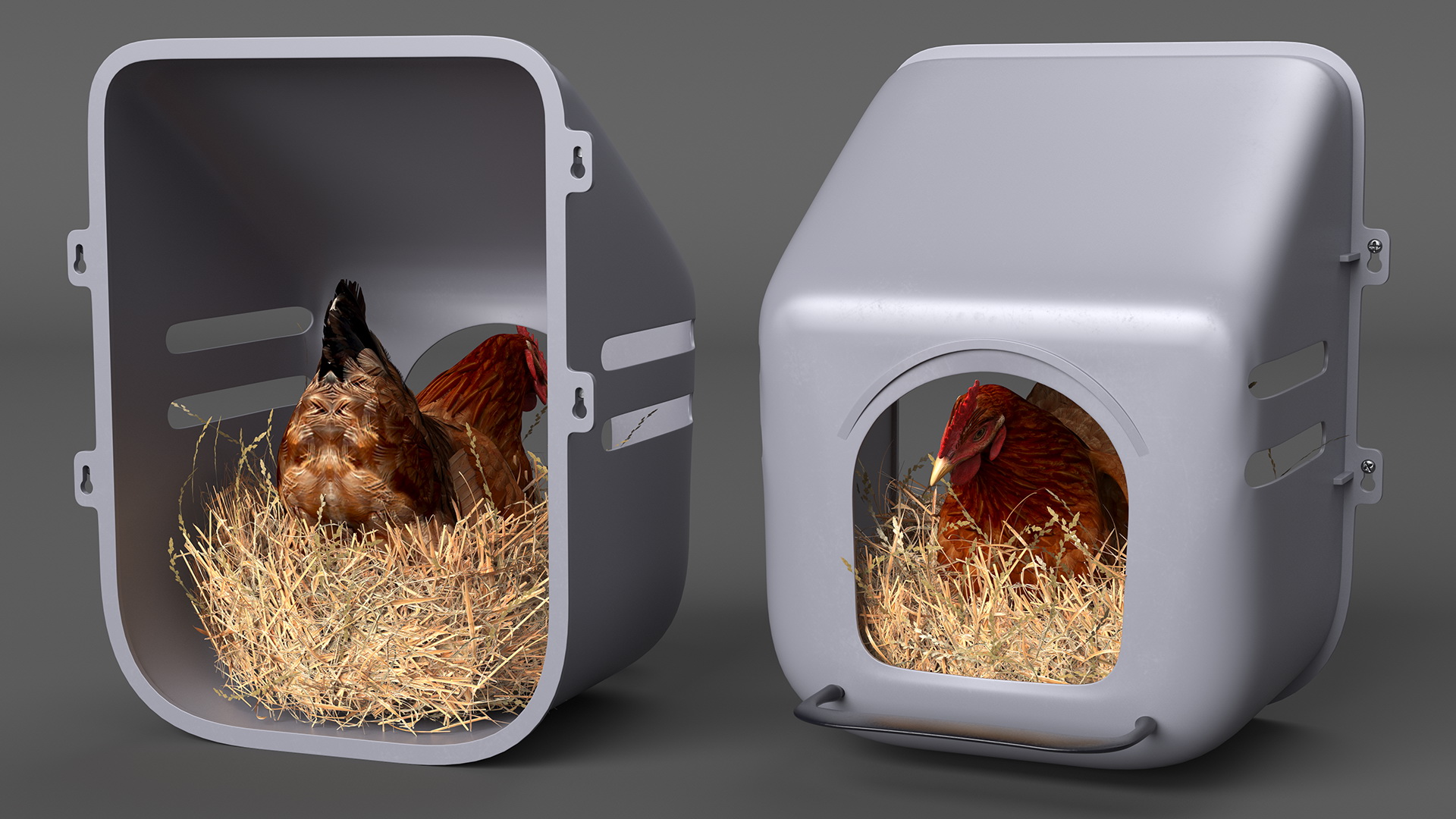 3D Chicken in Wall Mount Nesting Nest Box model