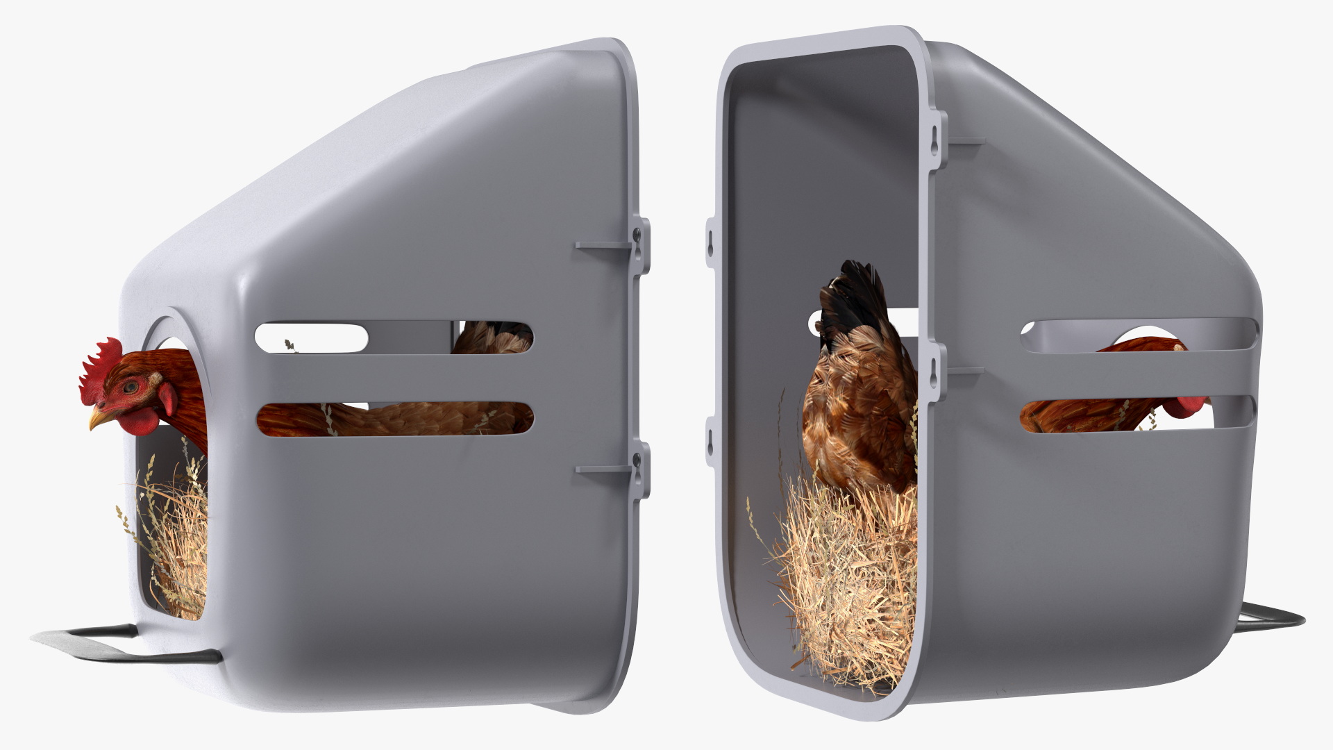 3D Chicken in Wall Mount Nesting Nest Box model