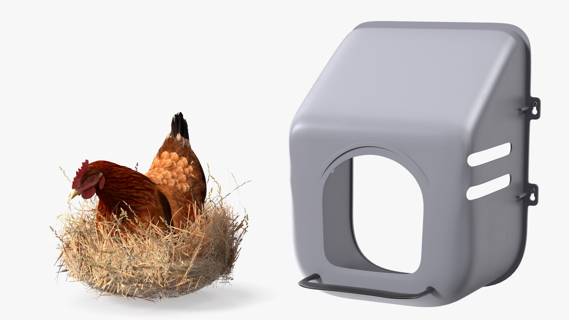 3D Chicken in Wall Mount Nesting Nest Box model