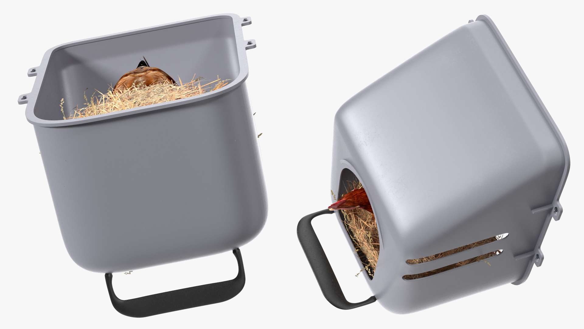 3D Chicken in Wall Mount Nesting Nest Box model