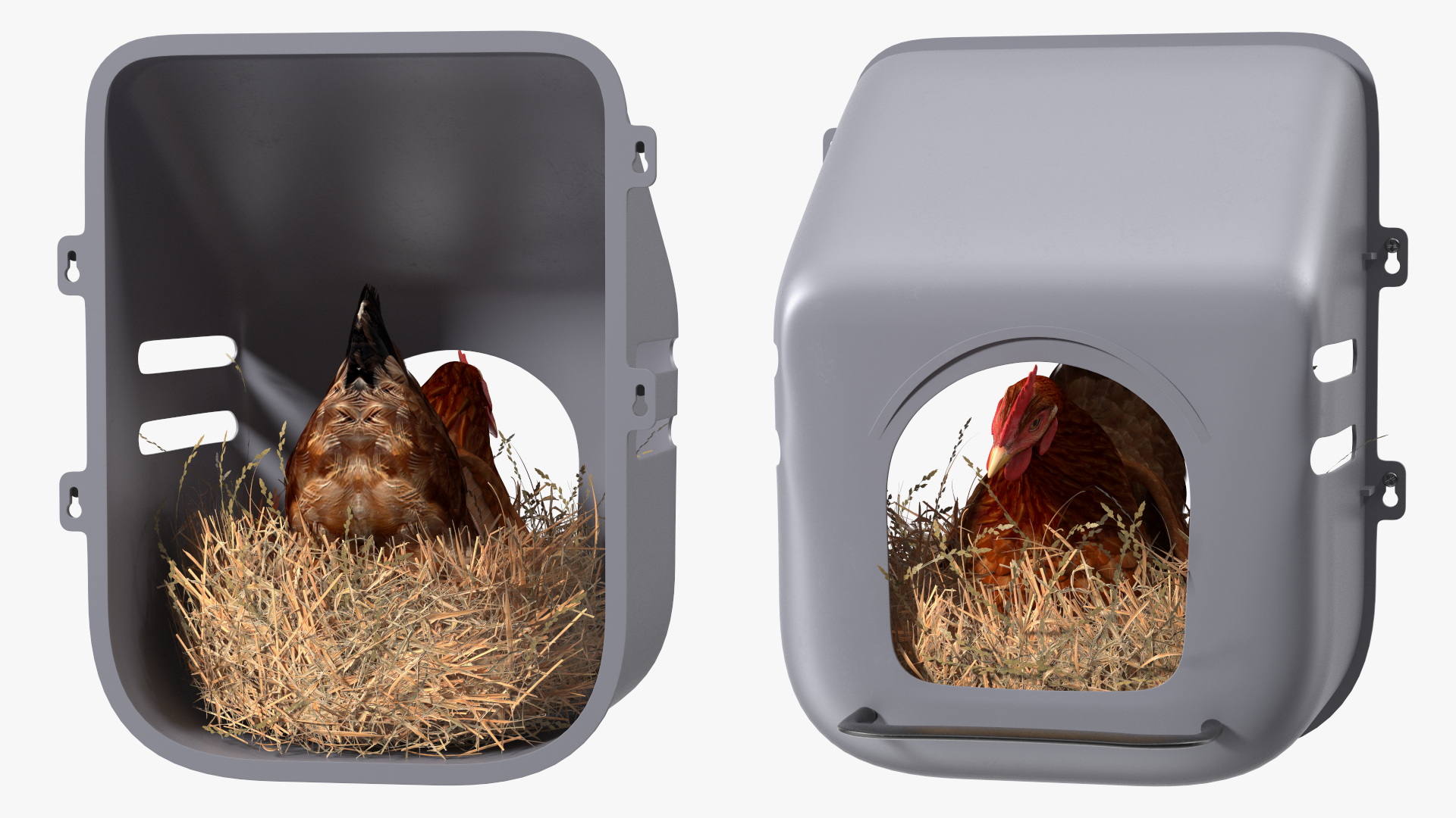 3D Chicken in Wall Mount Nesting Nest Box model