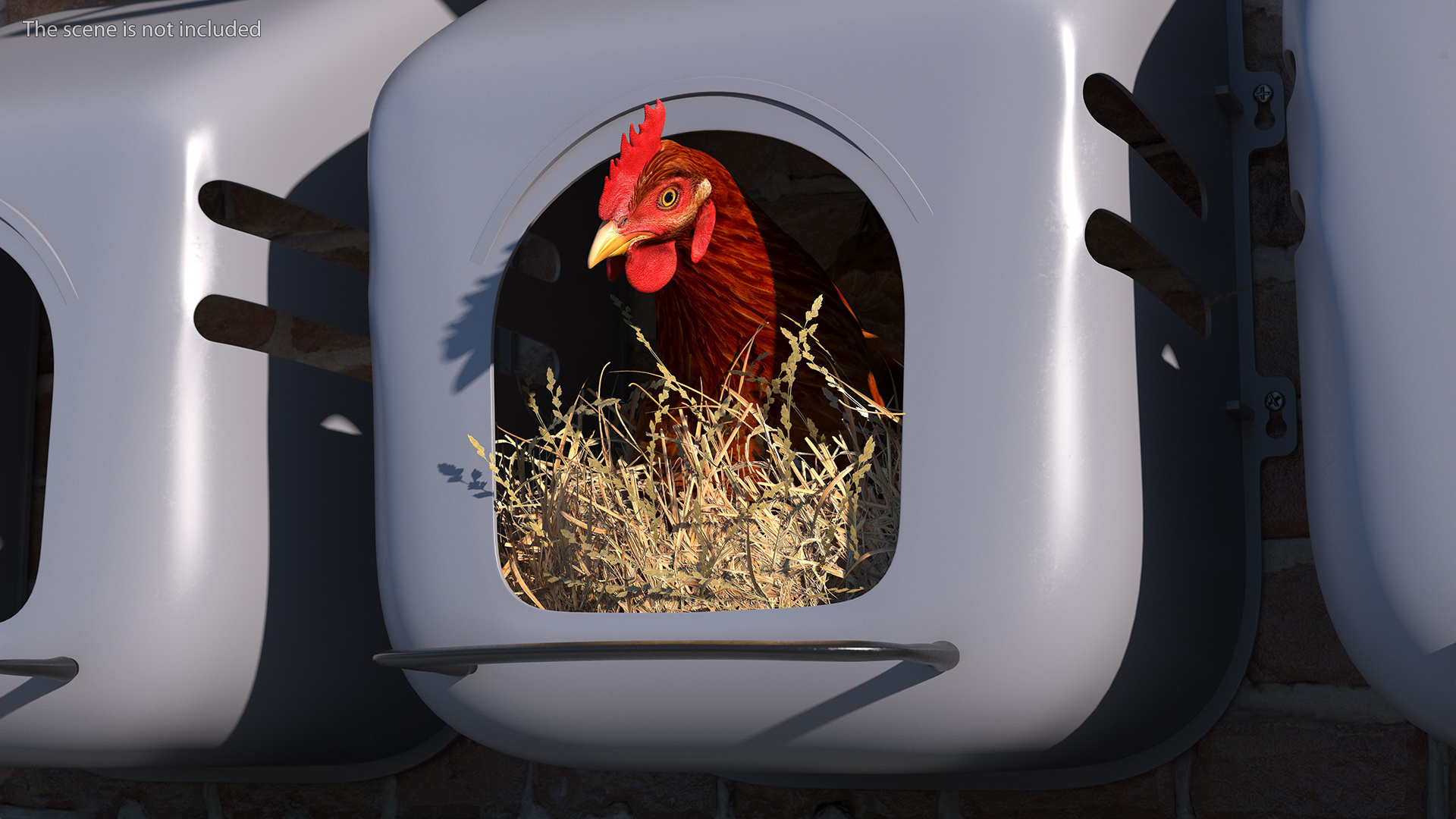 3D Chicken in Wall Mount Nesting Nest Box model