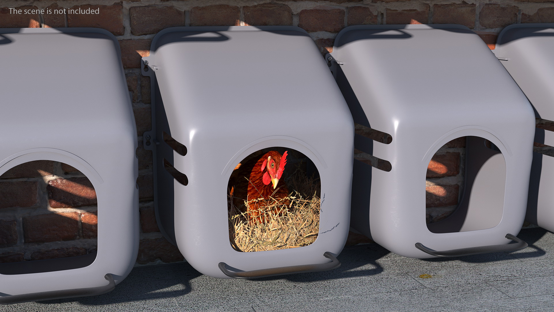 3D Chicken in Wall Mount Nesting Nest Box model