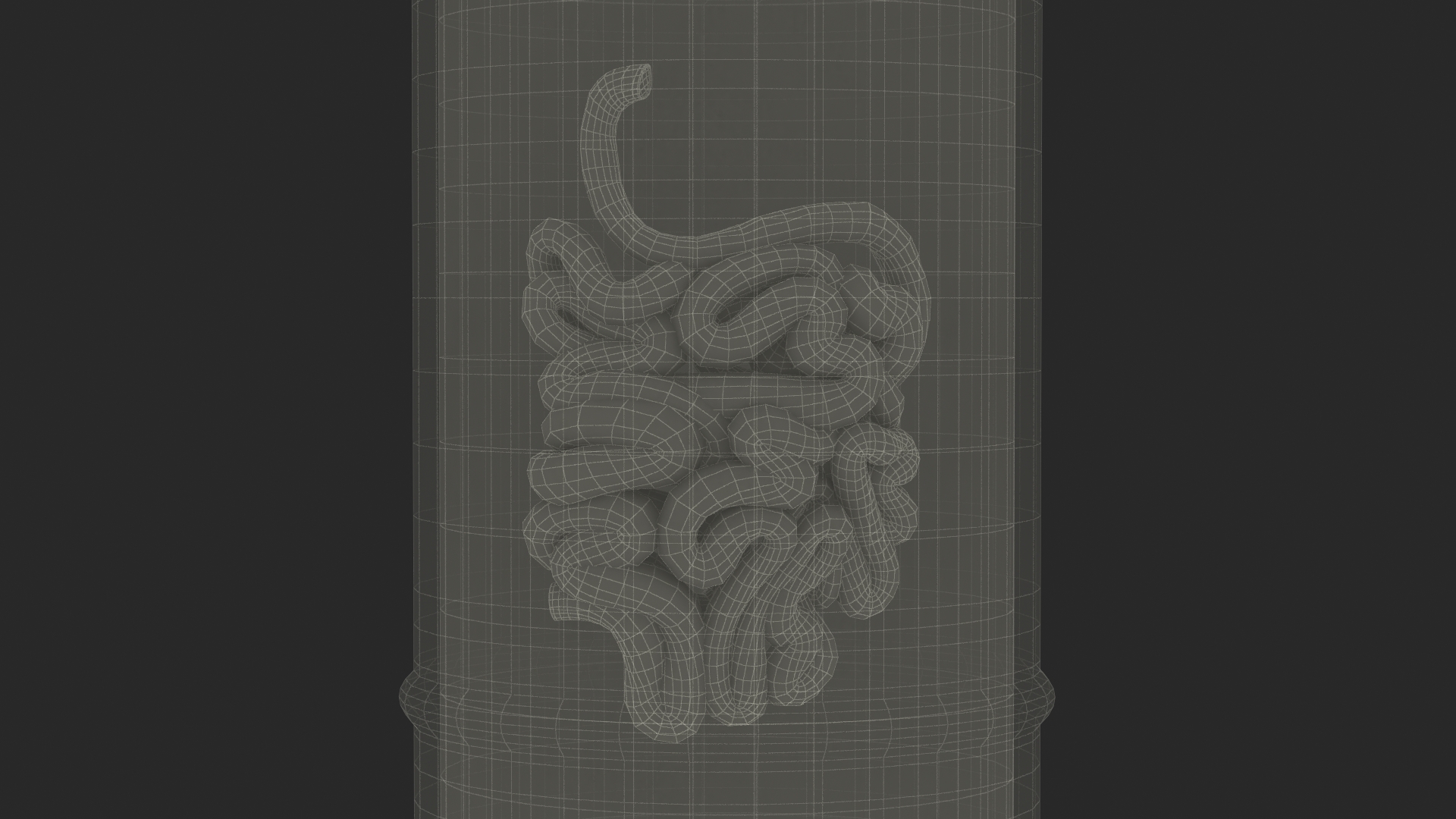 3D Human Small Intestine in Old Glass Jar model