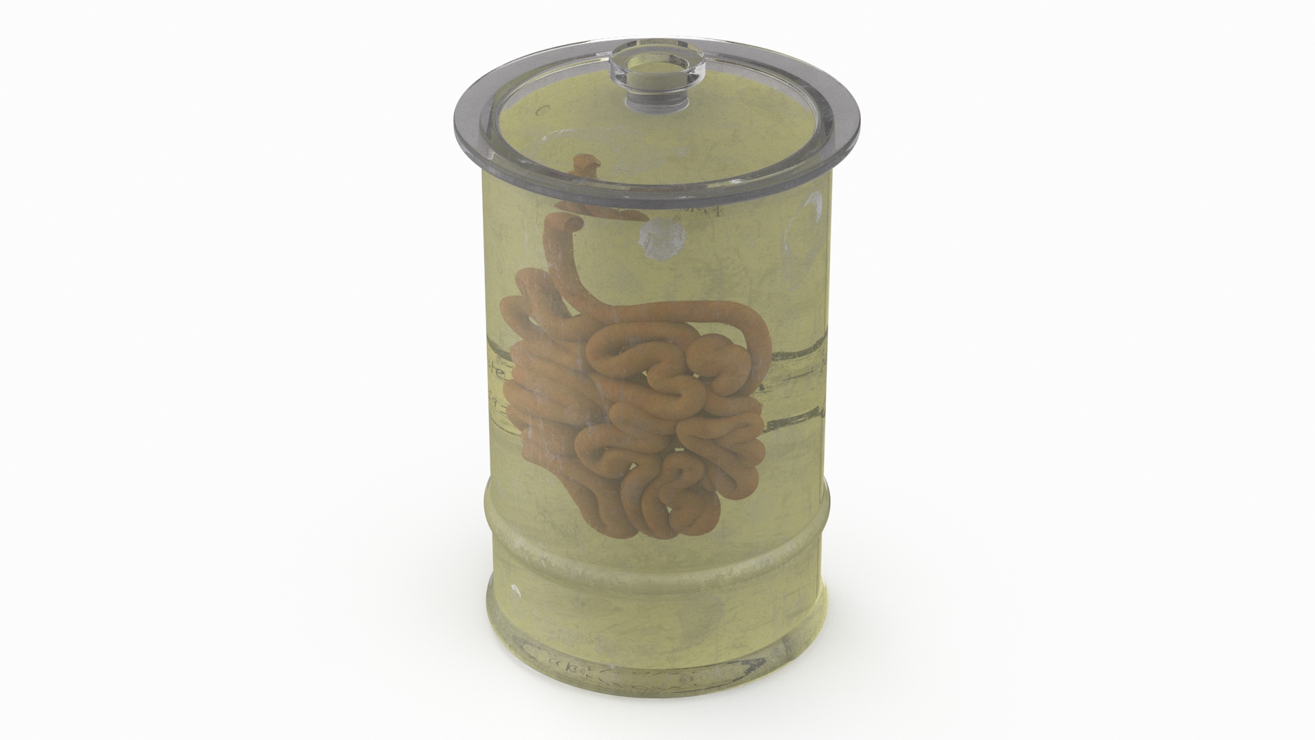 3D Human Small Intestine in Old Glass Jar model