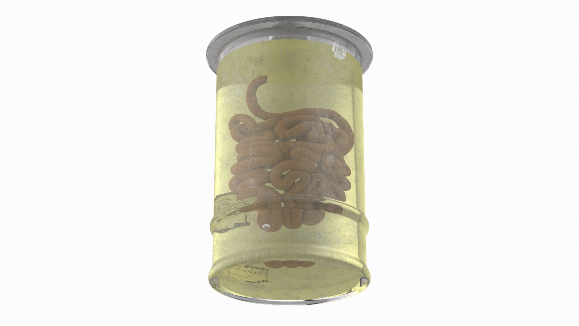 3D Human Small Intestine in Old Glass Jar model