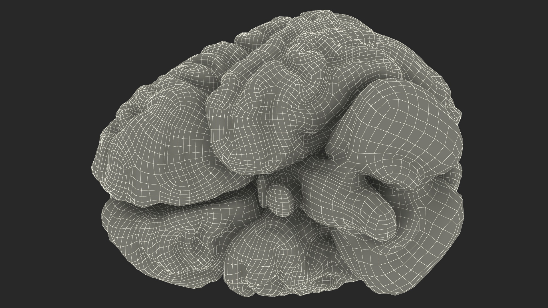 Xray Brain Hologram 3D model