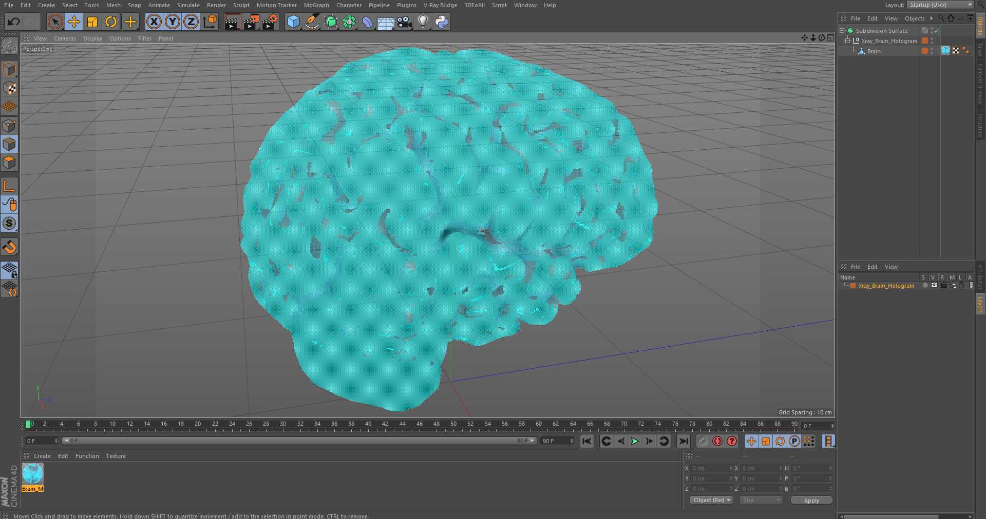 Xray Brain Hologram 3D model