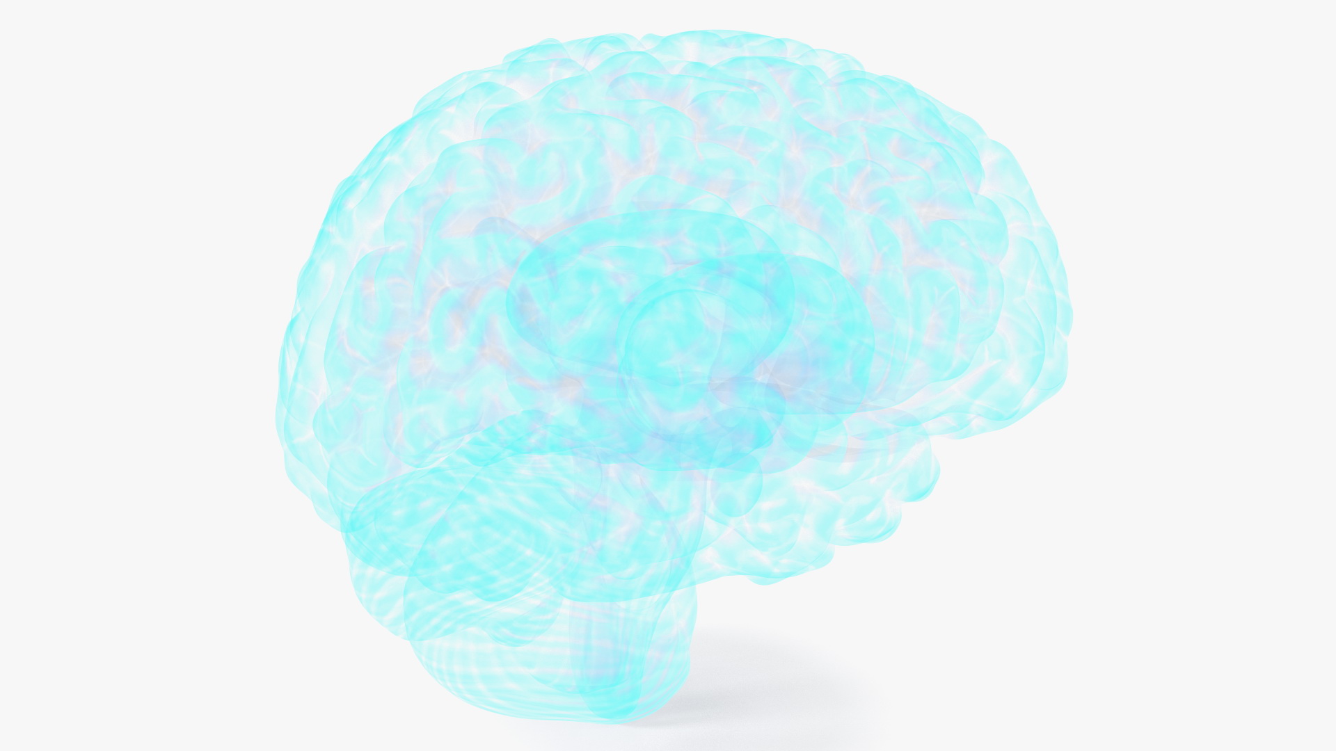 Xray Brain Hologram 3D model