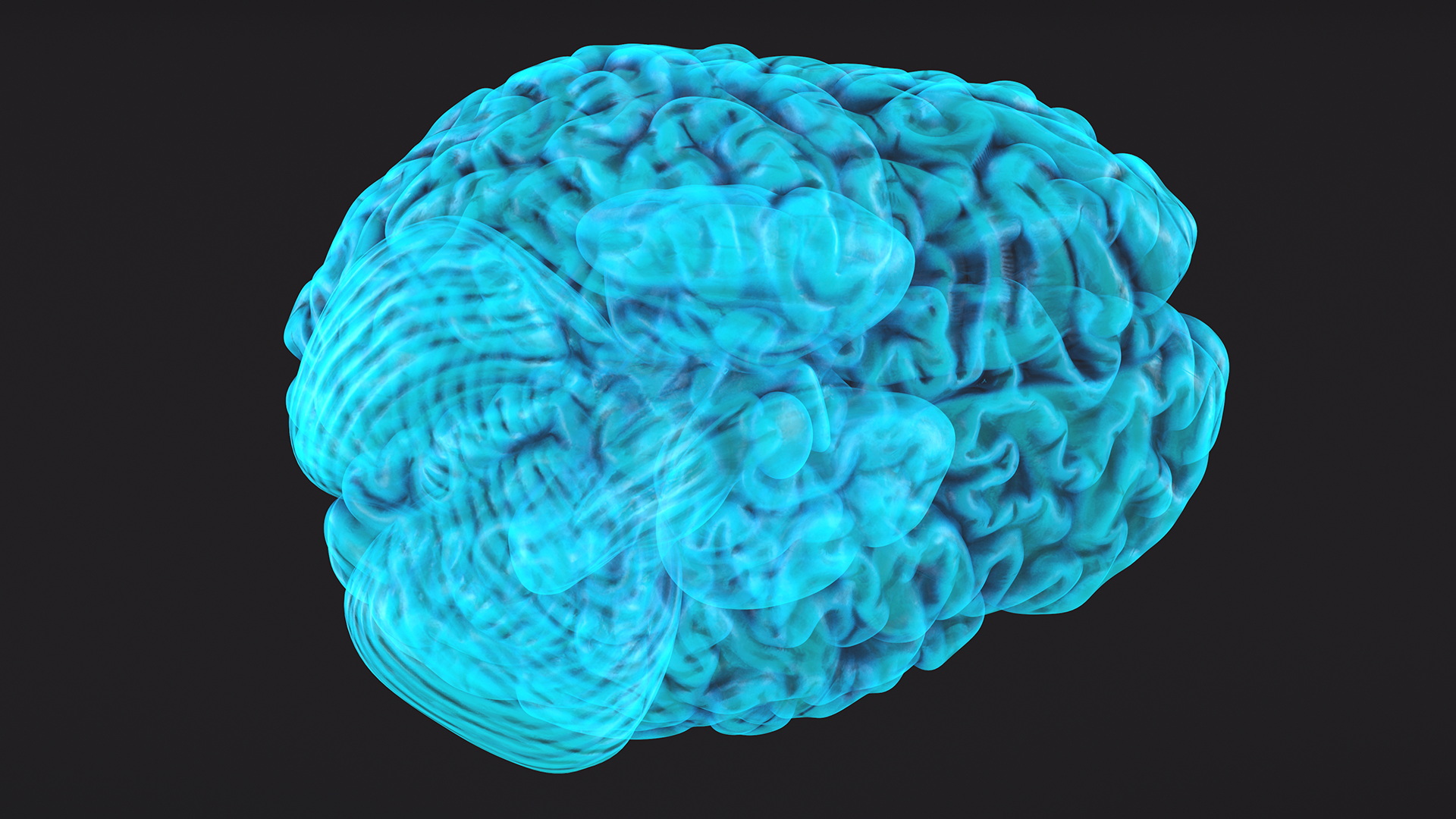 Xray Brain Hologram 3D model