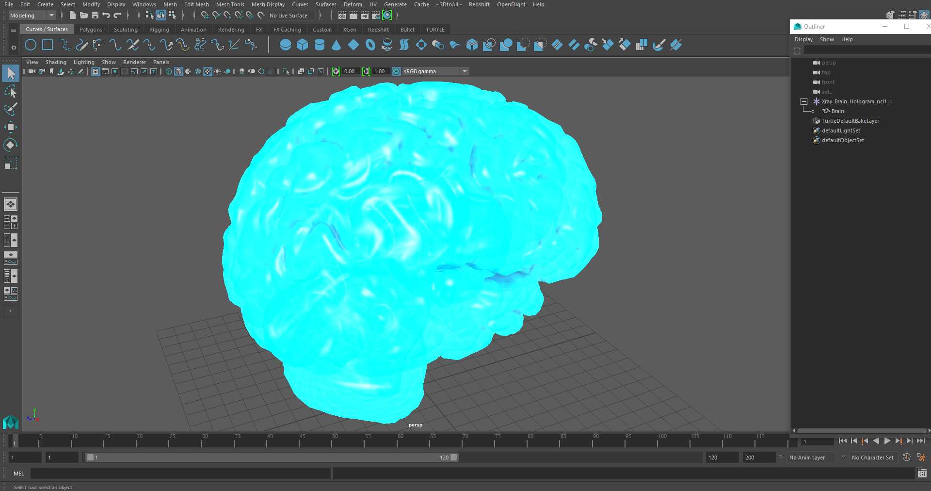 Xray Brain Hologram 3D model