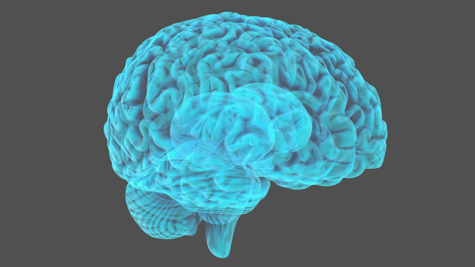 Xray Brain Hologram 3D model