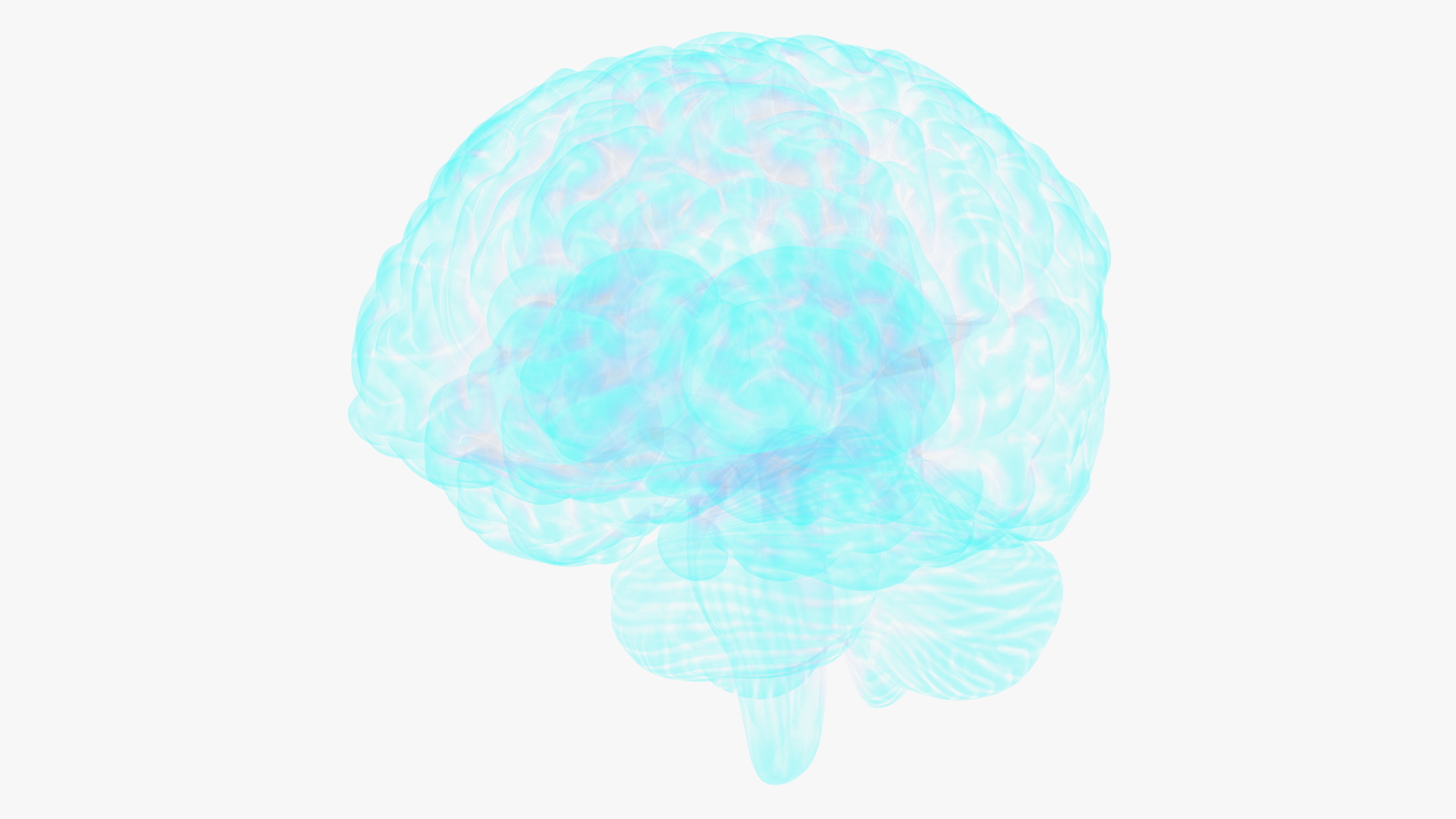 Xray Brain Hologram 3D model