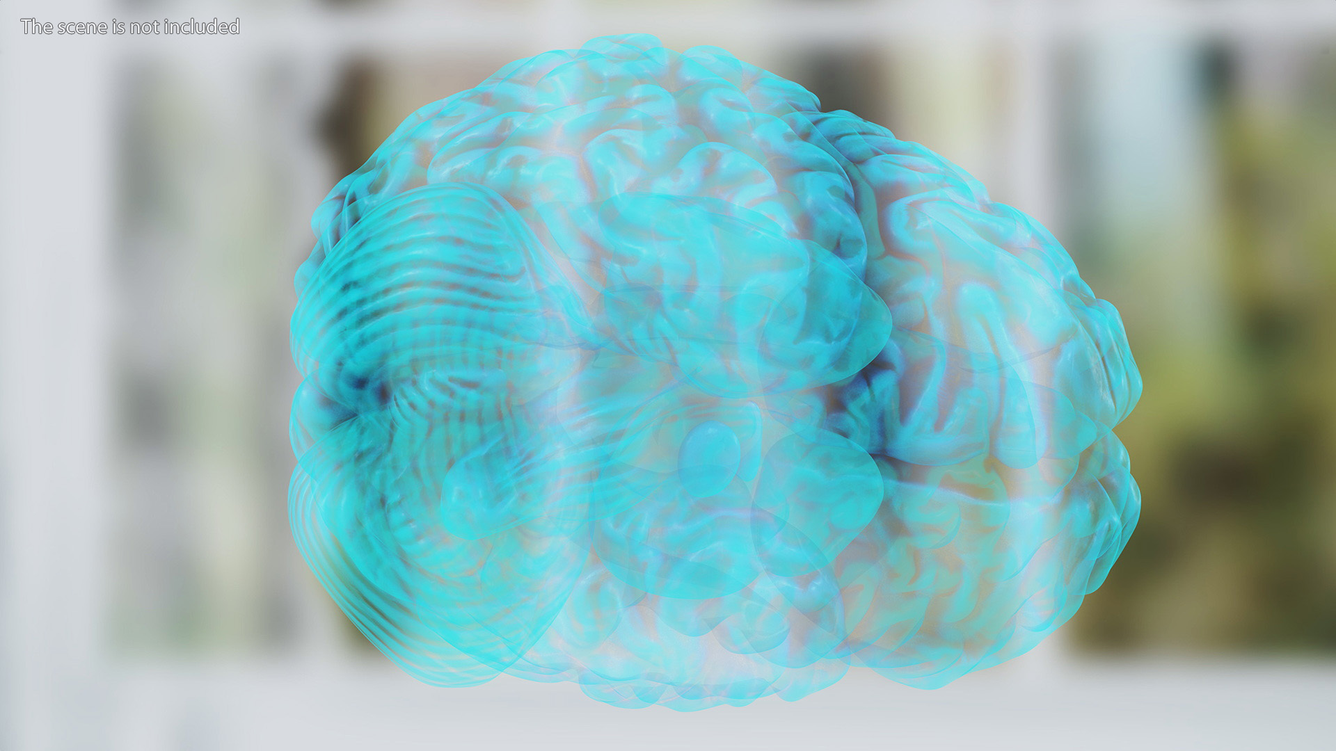 Xray Brain Hologram 3D model