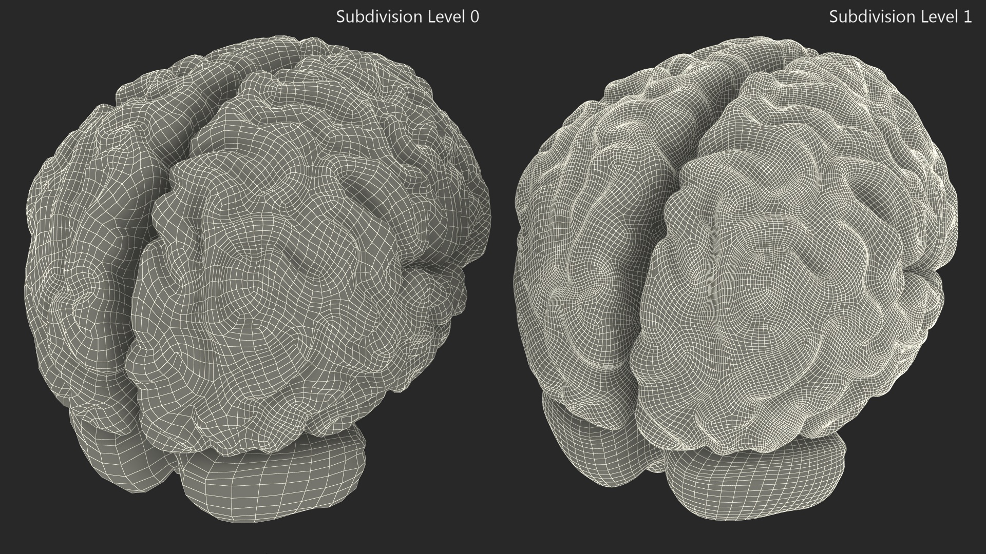 Xray Brain Hologram 3D model