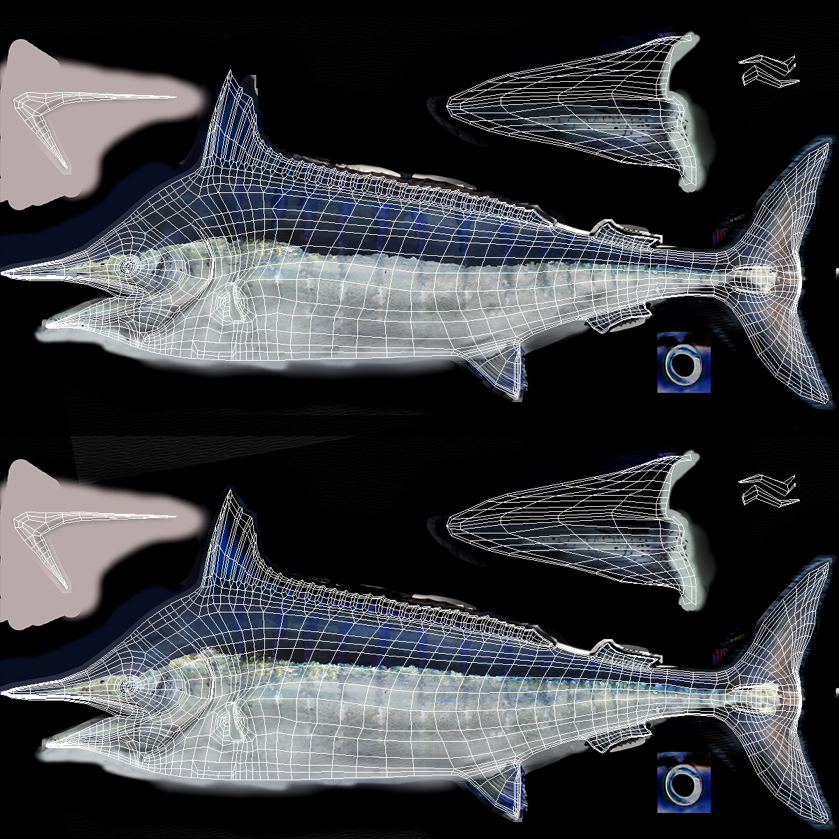 White Marlin Fish 3D