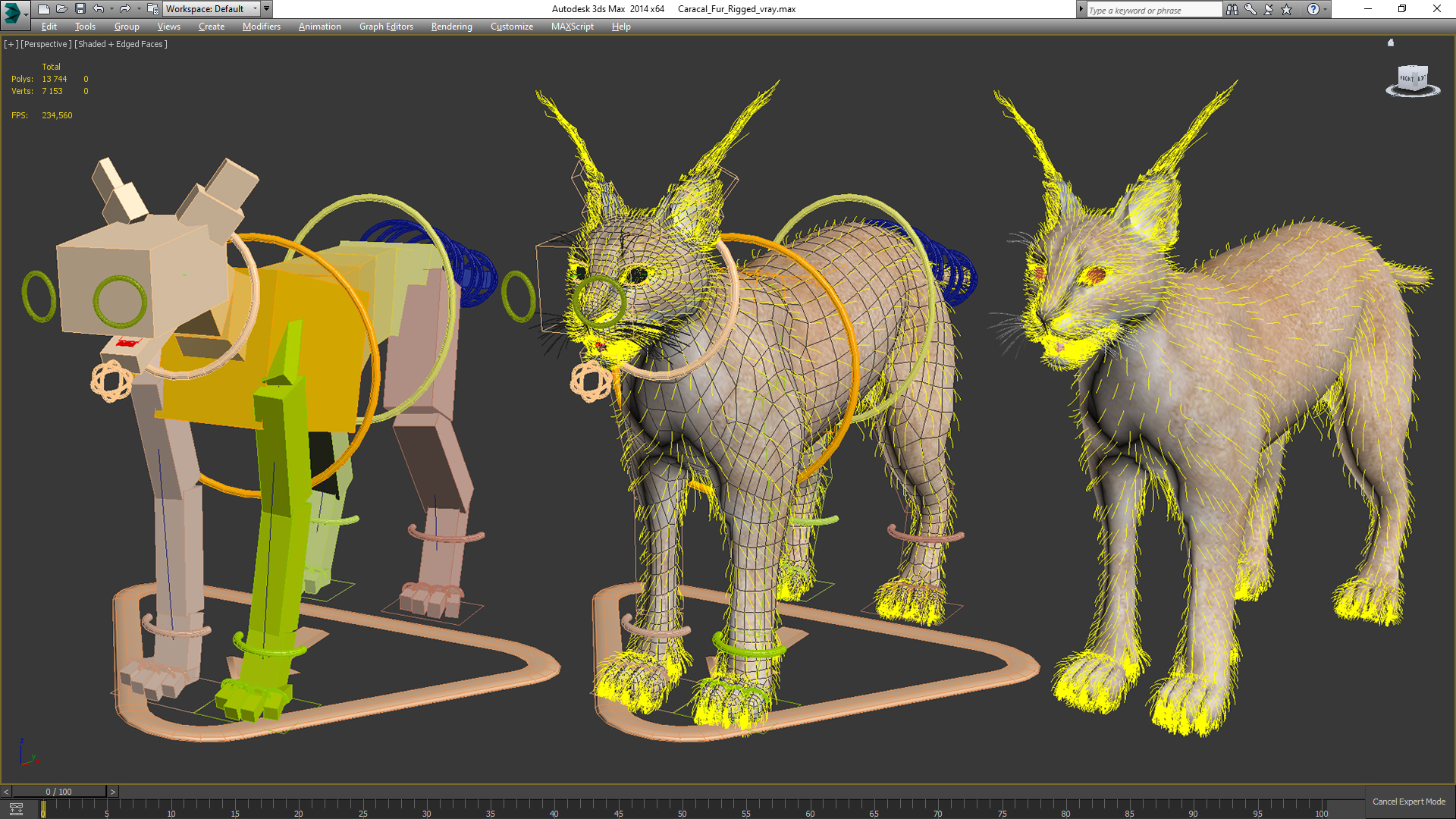 3D Caracal Fur Rigged model