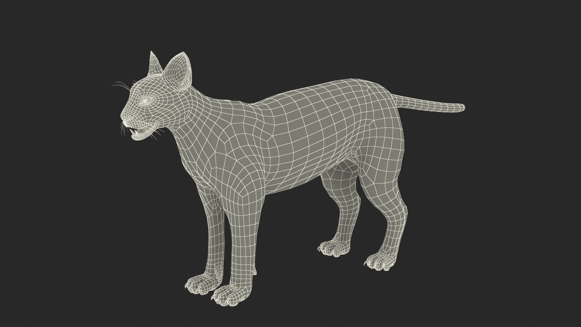 3D Caracal Fur Rigged model