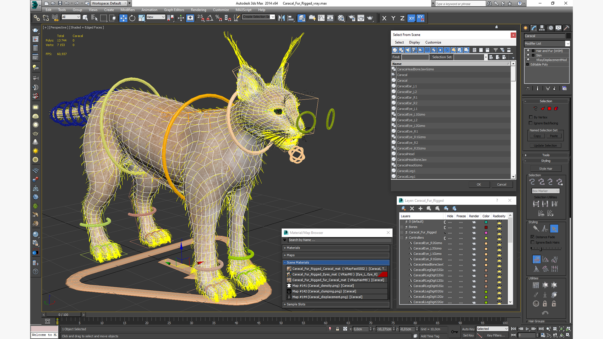 3D Caracal Fur Rigged model