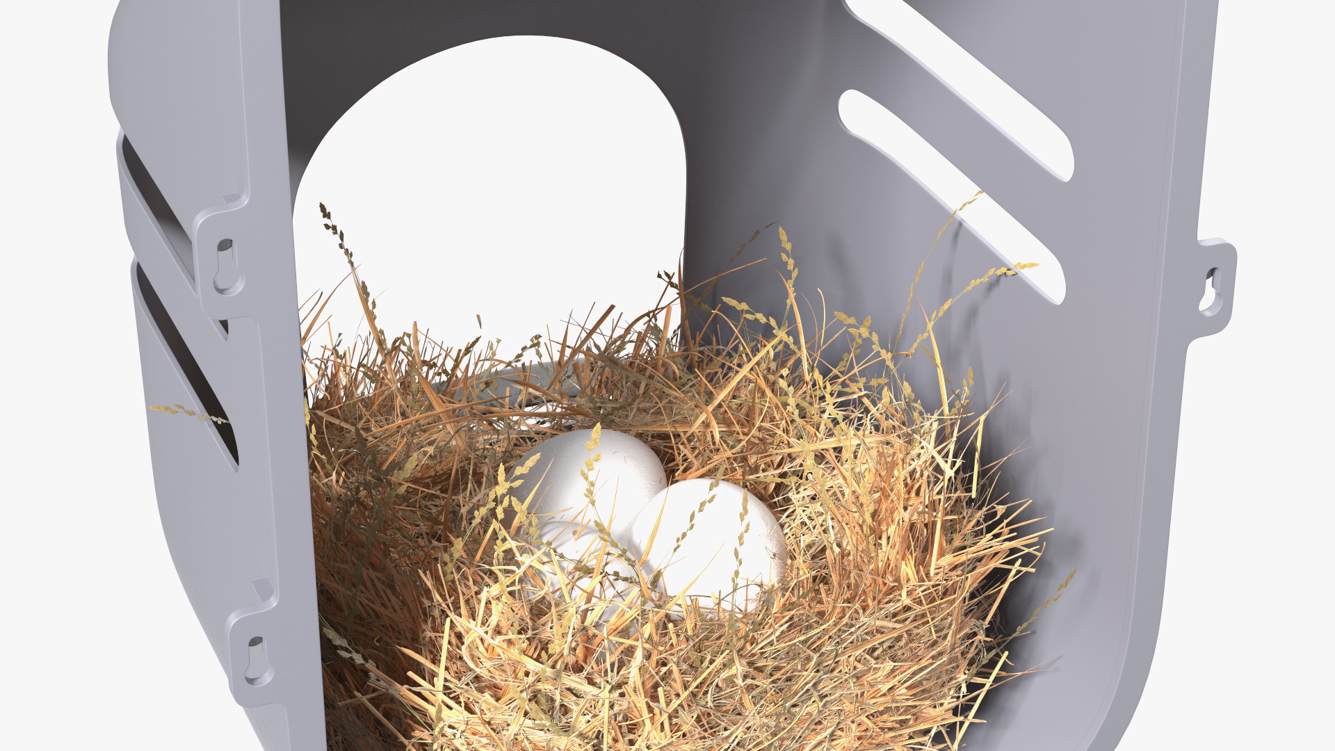 3D model Wall Mount Nesting Nest Box with Chicken Eggs