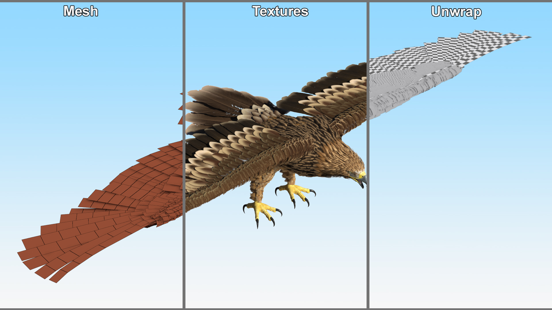 3D Realistic Imperial Eagle Rigged