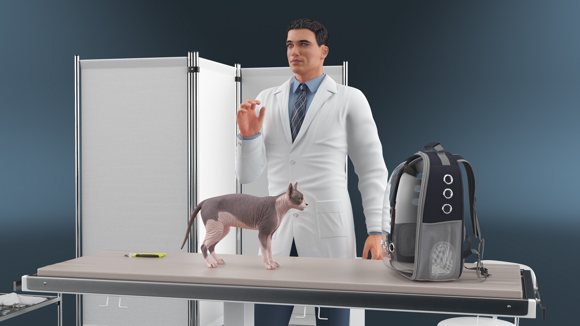 3D Pet Clinic Healthcare