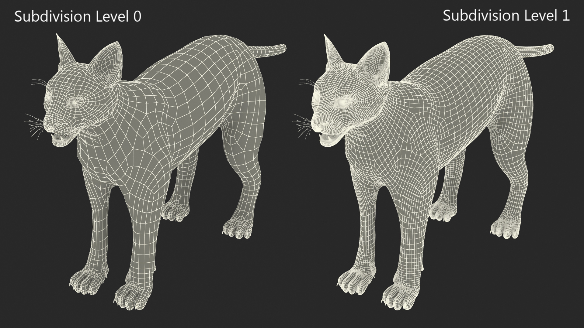 3D Caracal Fur