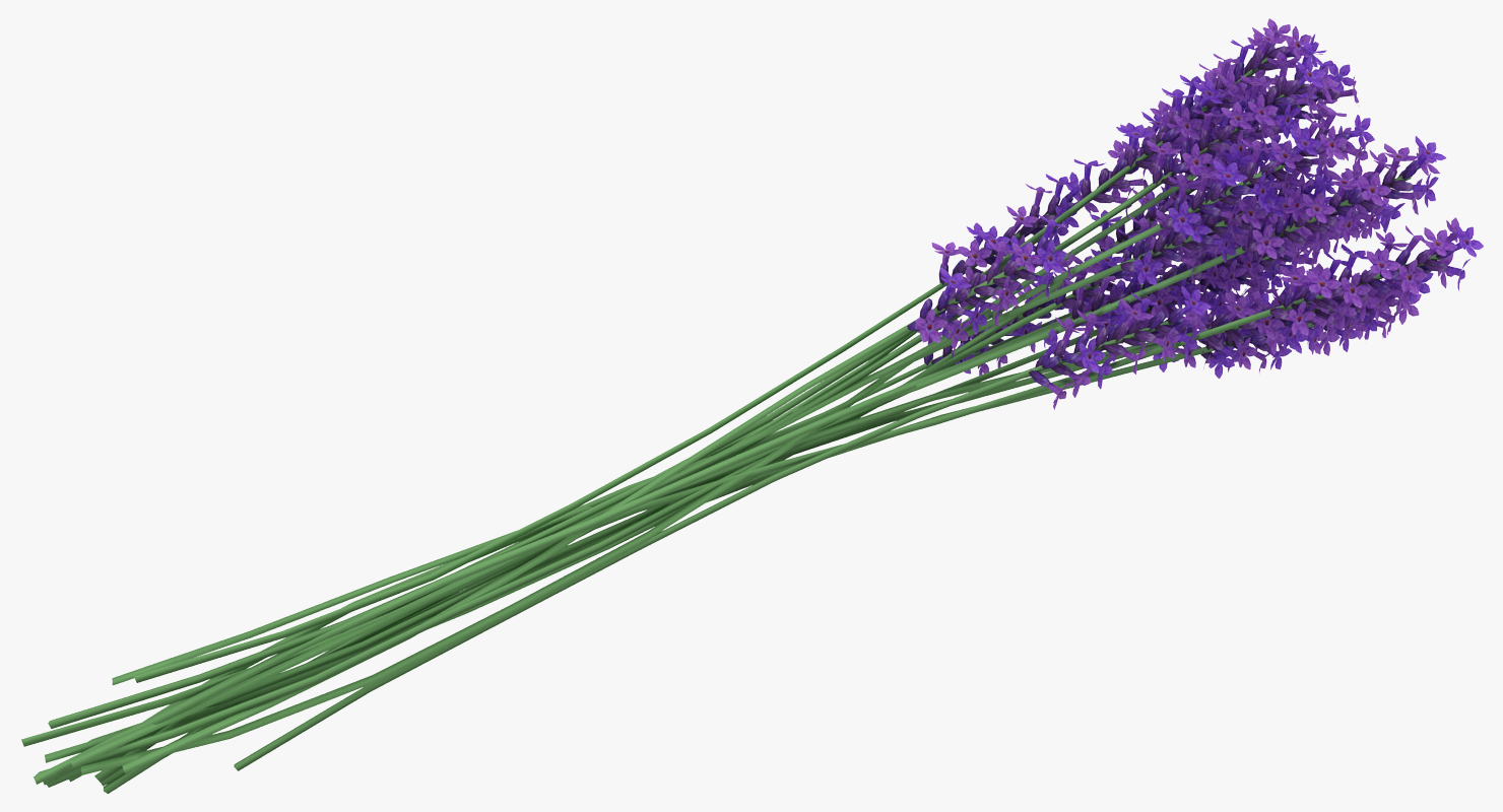 3D Lavender in Vase