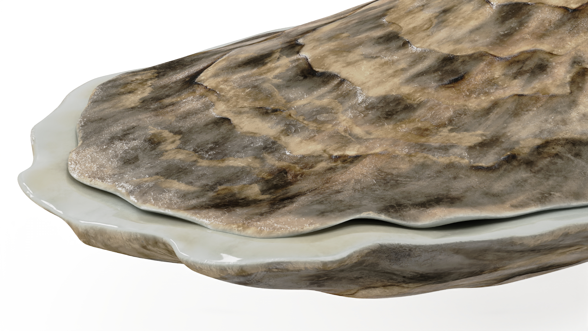 3D model Oyster