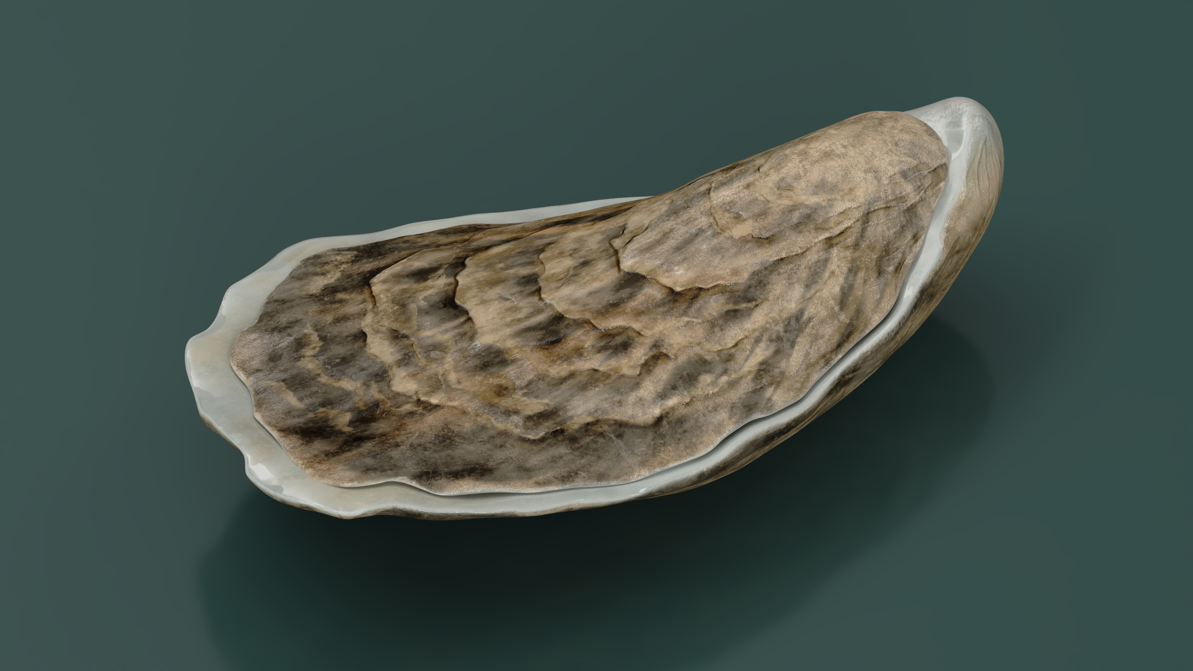 3D model Oyster