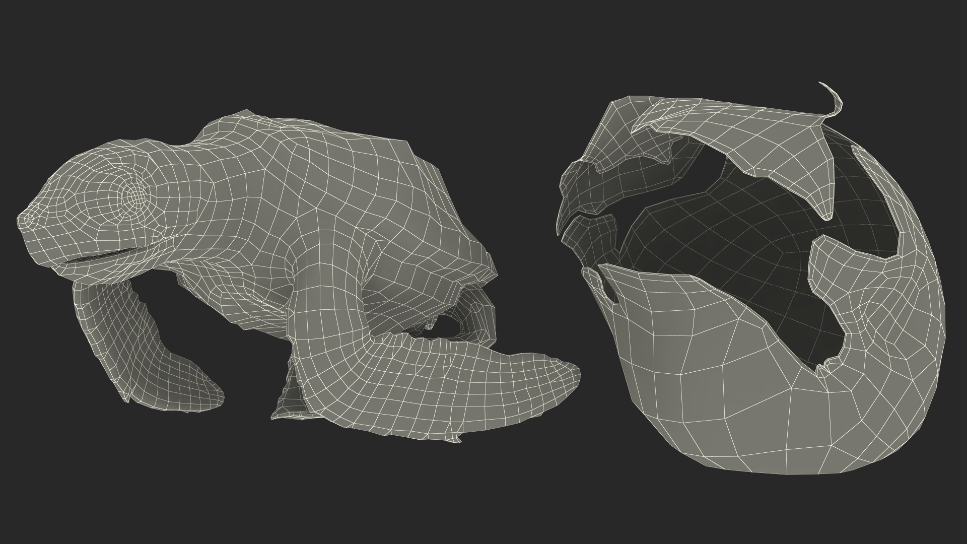 3D Sea Turtle Hatchling Emerging from Egg model