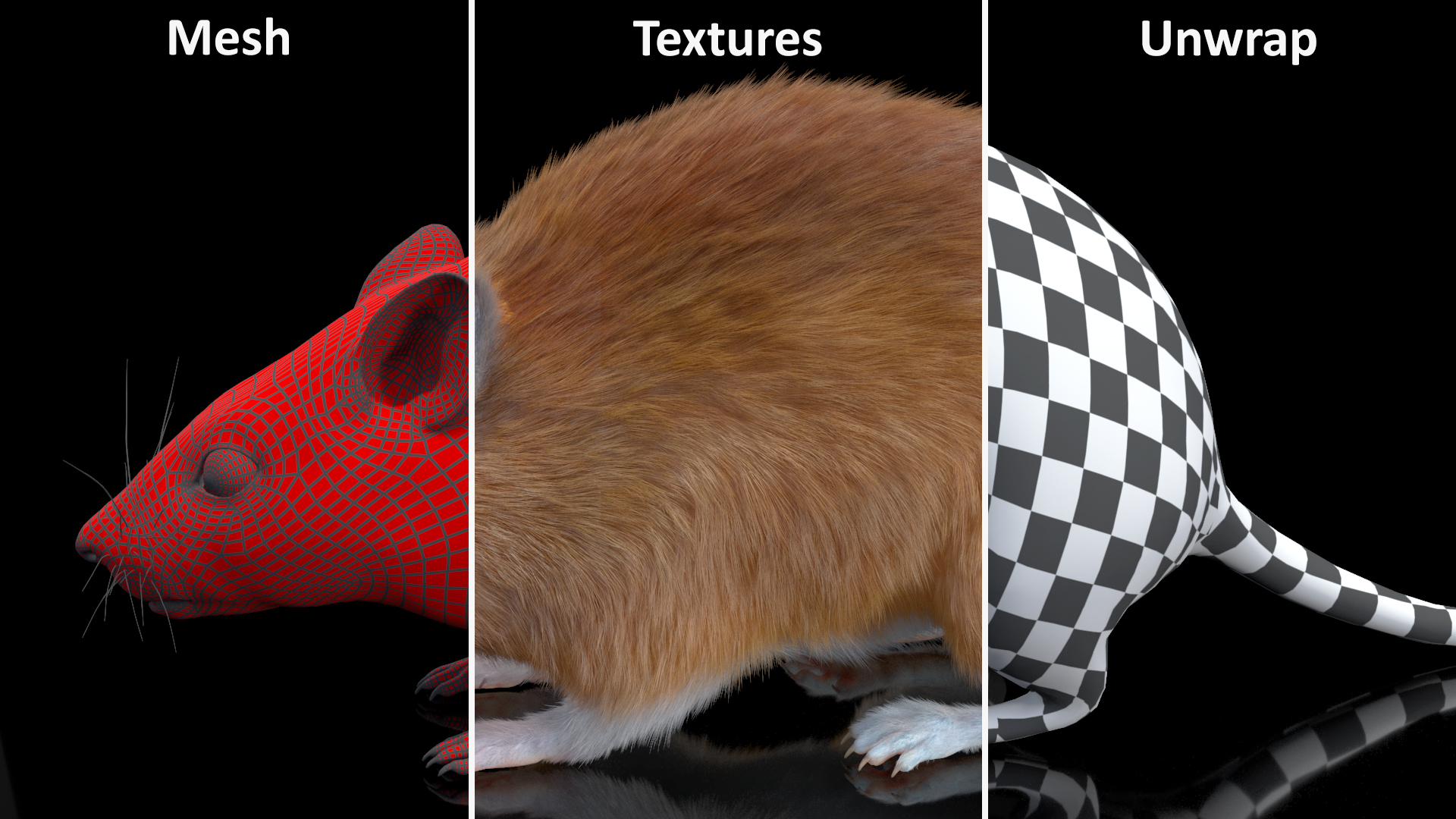 Kakadu Pebble-mound Mouse Base Pose Fur 3D model