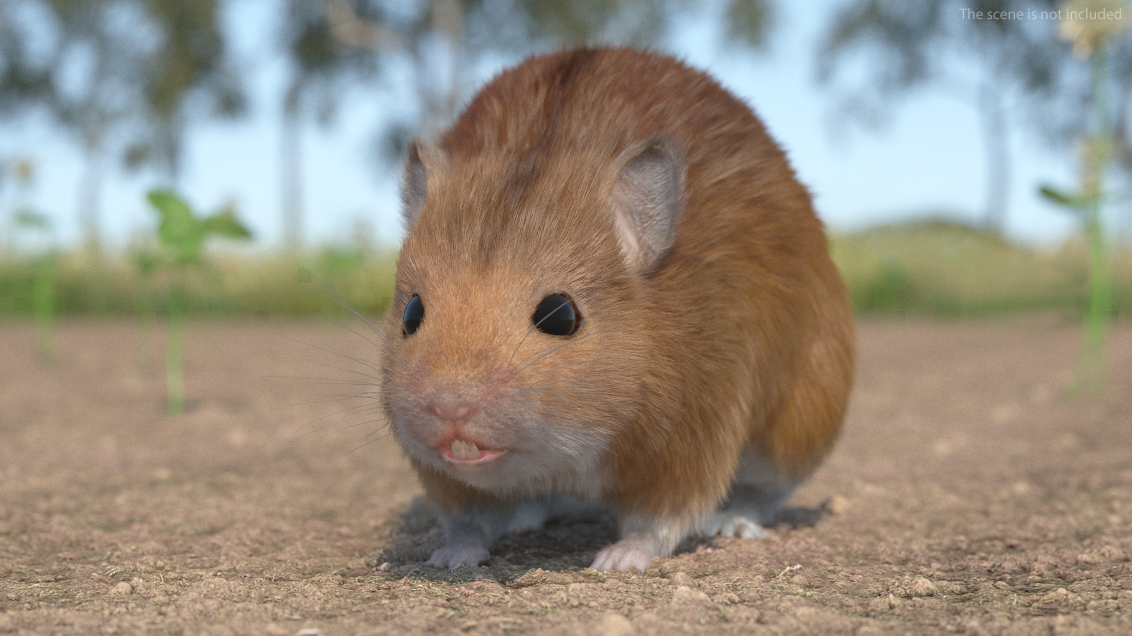 Kakadu Pebble-mound Mouse Base Pose Fur 3D model